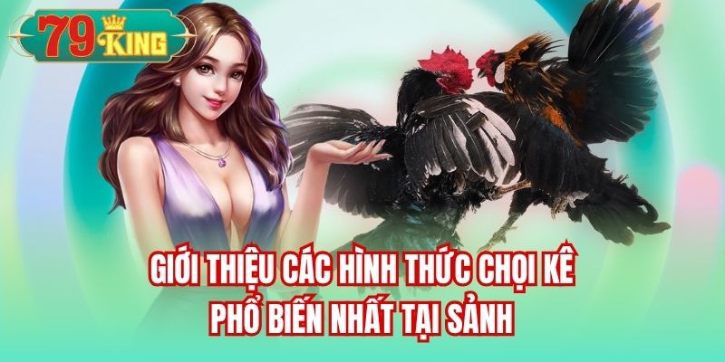 Giới thiệu các hình thức chọi kê phổ biến nhất tại sảnh